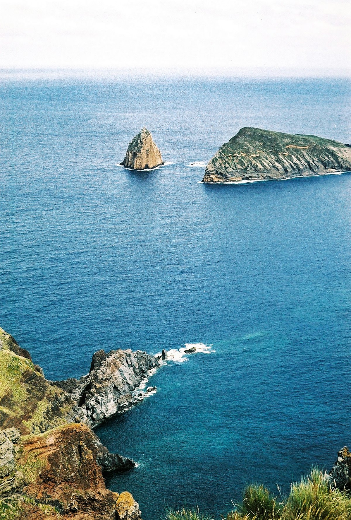 Blue marlin fight off the Azores seamounts