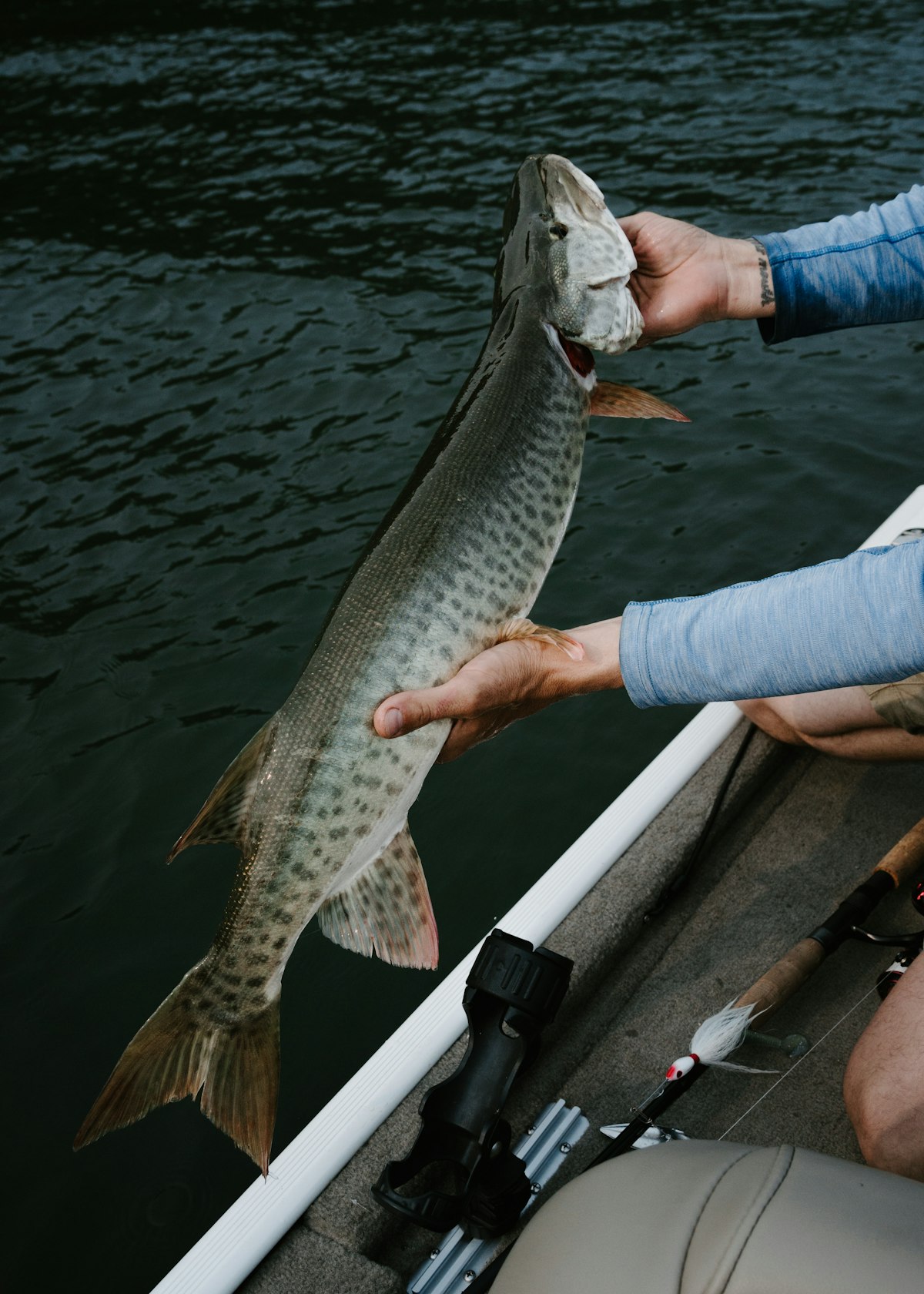 Angler with cubera snapper caught inshore in Costa Rica